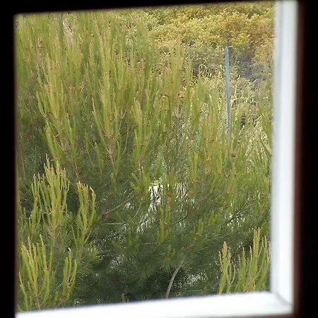 Hotel Coppa Di Cielo