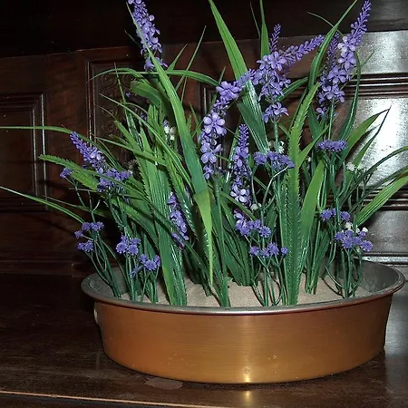 Hotel Coppa Di Cielo 2*