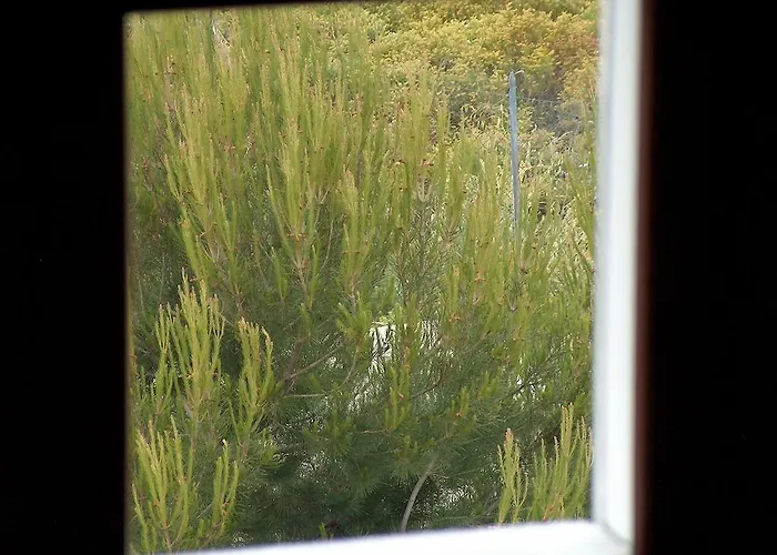 מלון Coppa Di Cielo