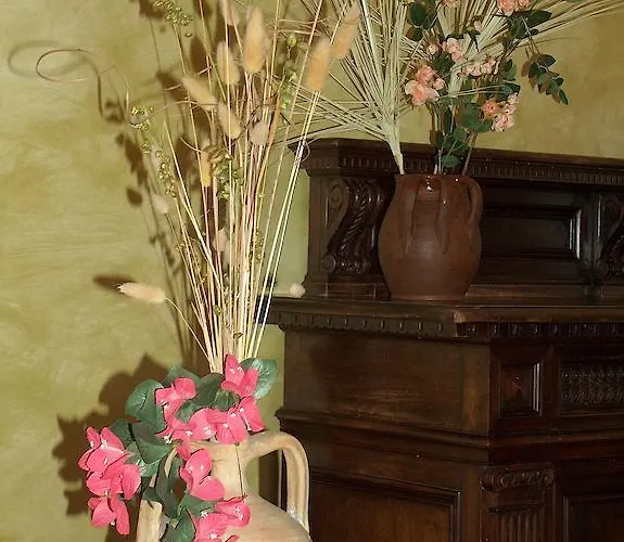 Coppa Di Cielo פסקיצ'י