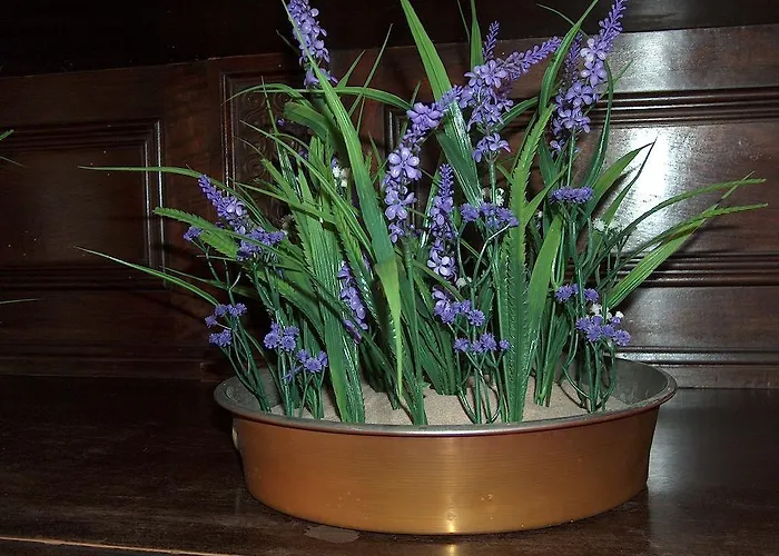 מלון Coppa Di Cielo 2*